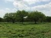49 Sunny Vale photo